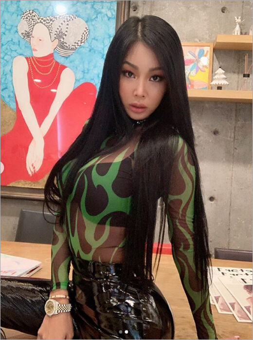 제시 `란제리 훤히 드러낸 섹시 시스루룩` - 마이데일리 제시 란제리 훤히 드러낸 섹시 시스루룩