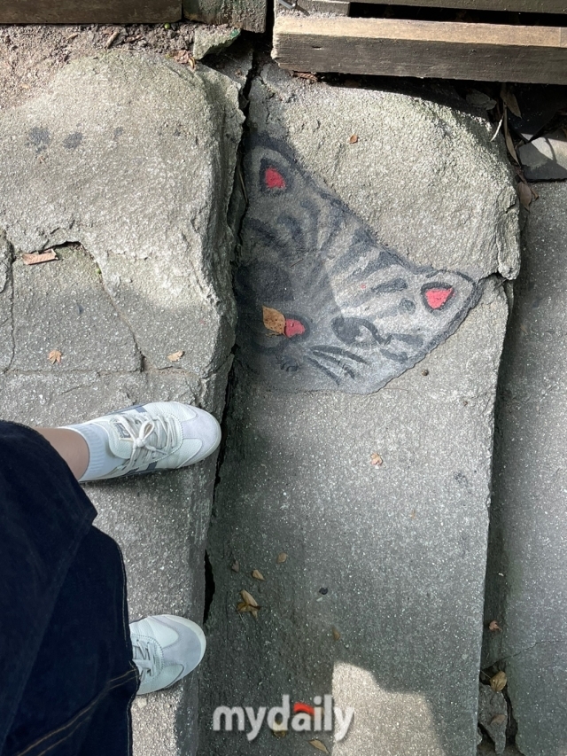 오노미치 고양이 오솔길/이지혜 기자