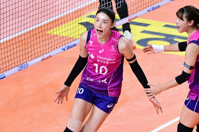 흥국생명 김연경./KOVO