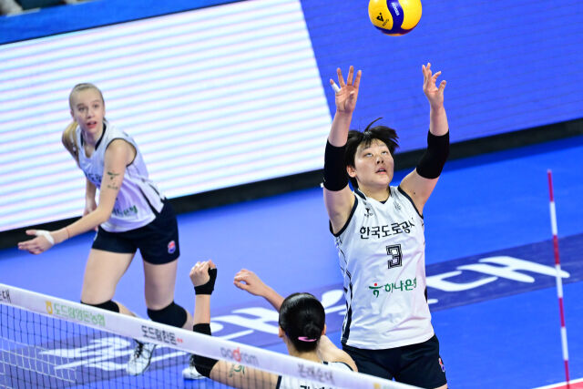 한국도로공사 김다은./KOVO