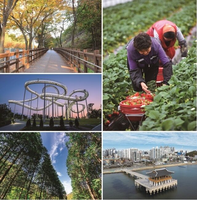 SRT매거진(발행인 이종국)이 창간 100호를 맞아 SRT 매거진 3월호에 국내 여행 100선을 엄선했다.(사진 위 왼쪽부터 시계방향으로 파주 헤이리무장애노을숲길, 완주 딸기거리, 포항 설머리물회지구, 완주 공기마을편백나무숲, 포항 스페이스워크)./에스알