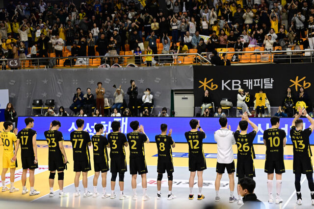 KB손해보험./KOVO