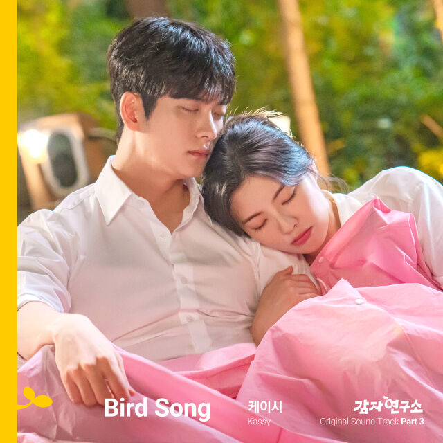 tvN 