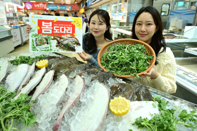 12일 서울 서초구 농협 하나로마트 양재점에서 모델들이 도다리를 선보이고 있다. /농협유통