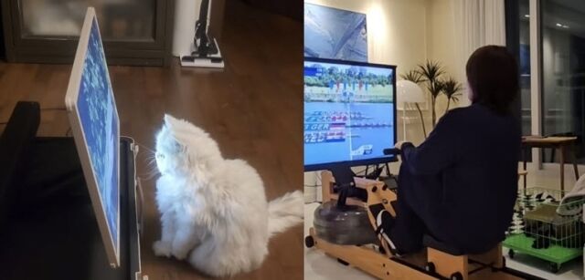 최강희 SNS
