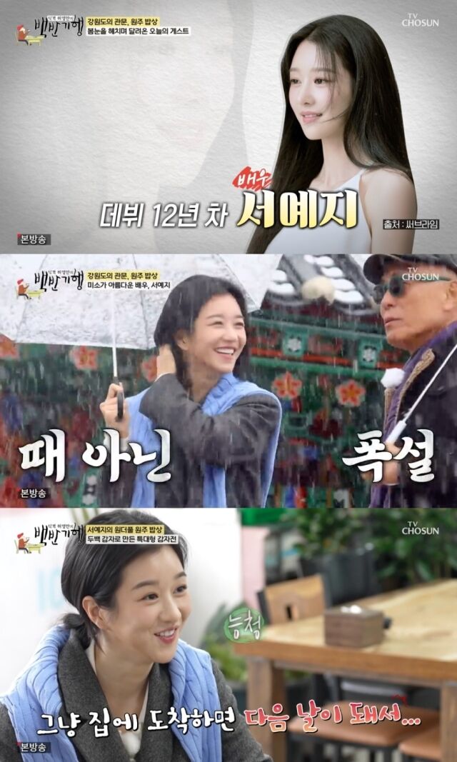 서예지 / TV조선