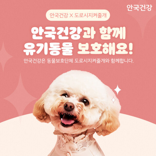 / 안국건강