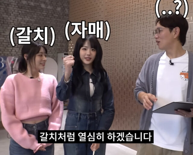 장성규의 발언에 