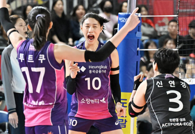 흥국생명 김연경./KOVO