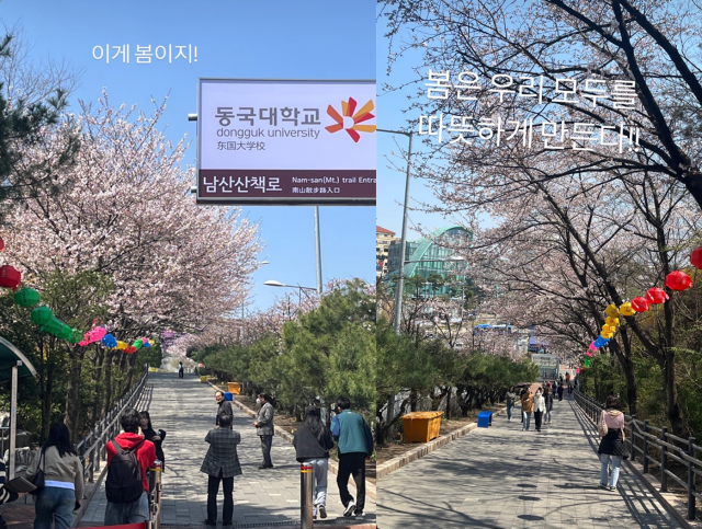이탁수가 업로드한 동국대학교 캠퍼스./이탁수 인스타그램