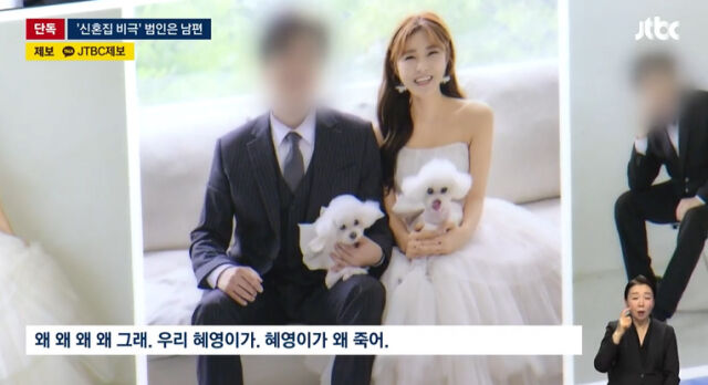 신혼 3개월만에 아내를 살해한 남편이 경찰에 검거됐다./JTBC 뉴스 캡처