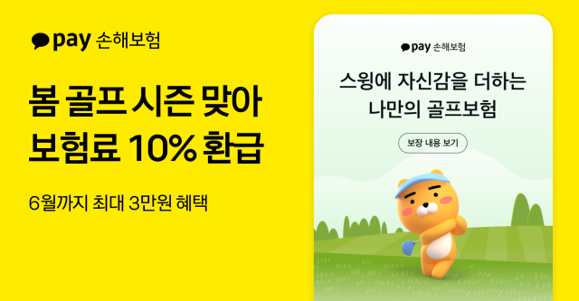 /카카오페이손보