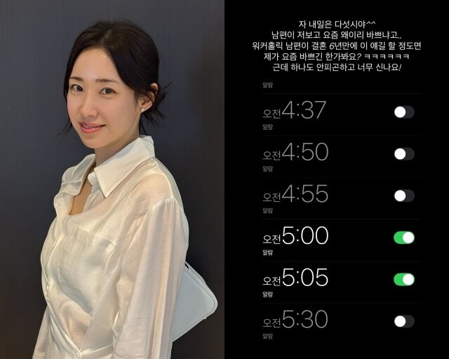아나운서 출신 방송인 최희, 최희가 게재한 캡처/최희 소셜미디어