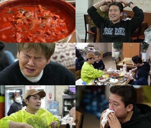 MBN·채널S 