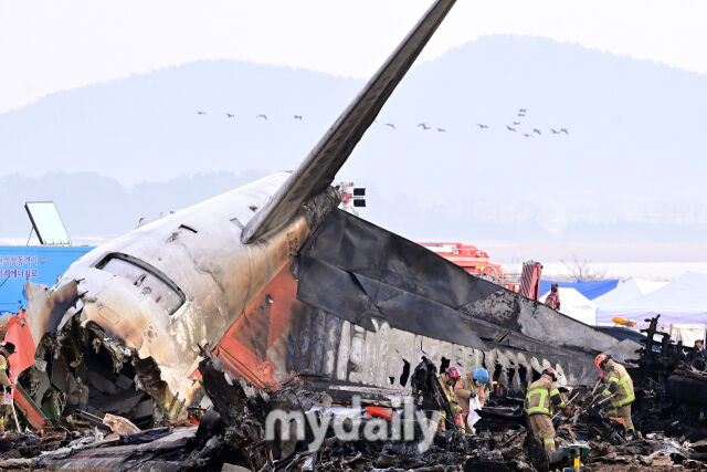 지난해 12월 29일 오전 전남 무안국제공항으로 착륙하던 방콕발 제주항공 2216편이 랜딩기어 고장으로 동체 착륙을 하던 중 활주로를 이탈해 울타리 외벽과 충돌한 뒤 큰 폭발했다./곽경훈 기자