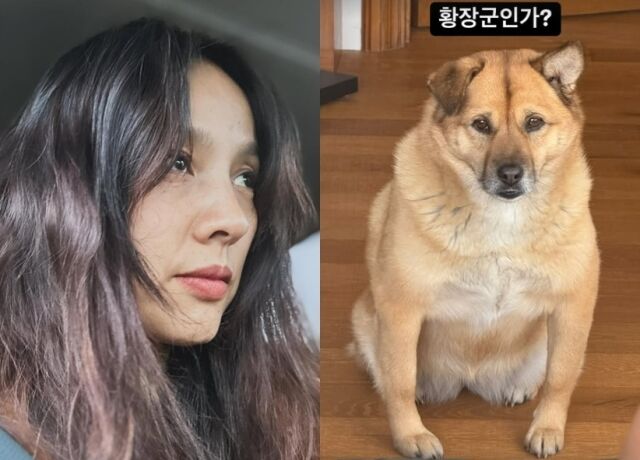 이효리 소셜미디어