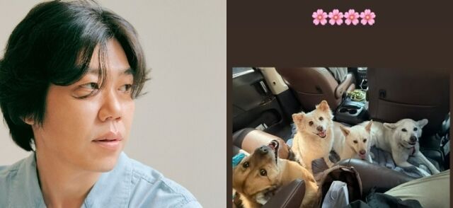 이상순/ 이상순 소셜미디어- 이효리 반려견/ 이효리 소셜미디어