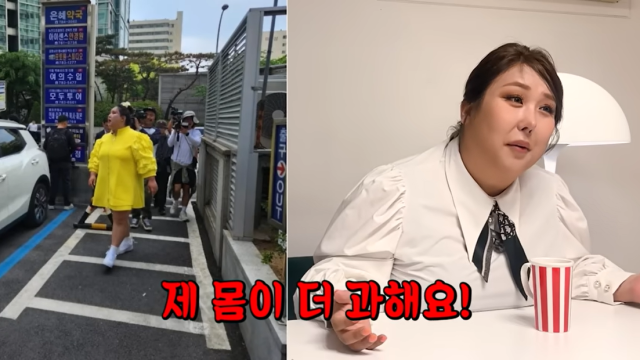 유튜버 겸 방송인 풍자/유튜브 채널 
