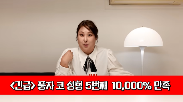 유튜버 겸 방송인 풍자/유튜브 채널 