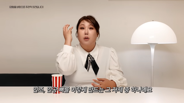 유튜버 겸 방송인 풍자/유튜브 채널 