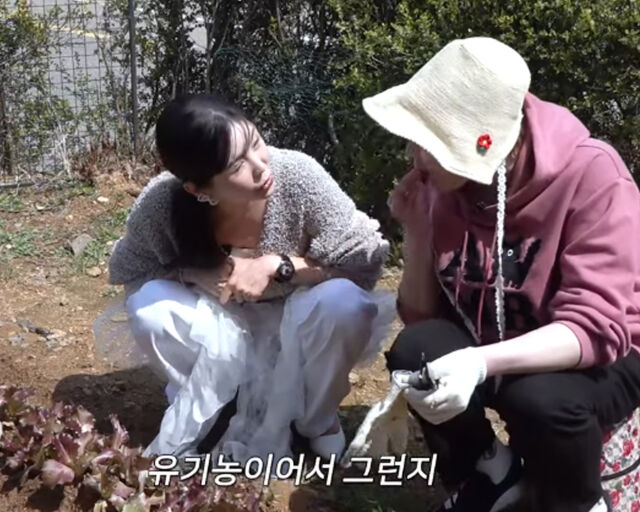 입짧은 햇님은 마당에 상추와 꽃을 심는 등 심혈을 기울이고 있다. / 유튜브 