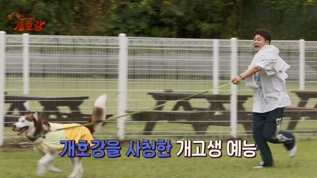 ‘집 나가면 개호강’/JTBC