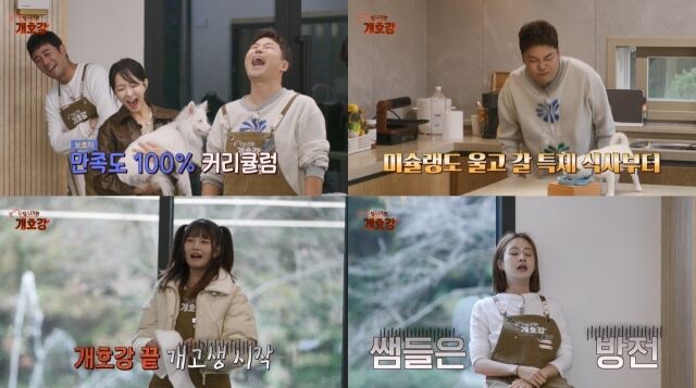 ‘집 나가면 개호강’/JTBC