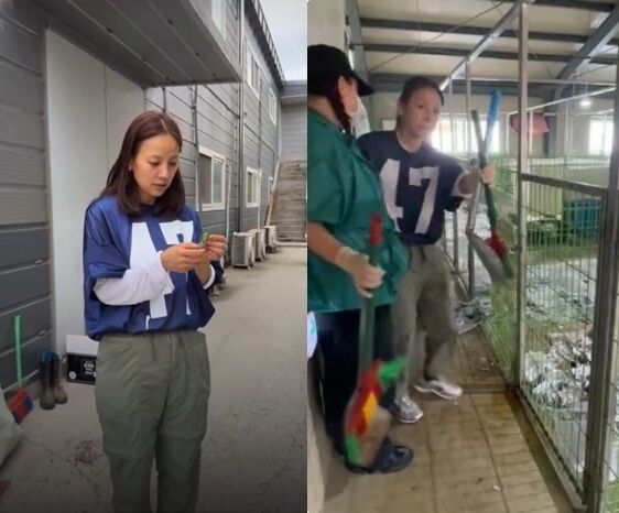 가수 이효리가 유기동물 보호소에 방문했다. / 이효리 인스타그램
