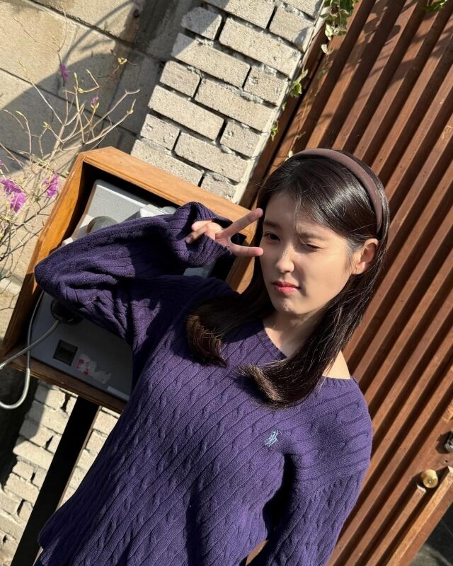 아이유 / 소셜미디어