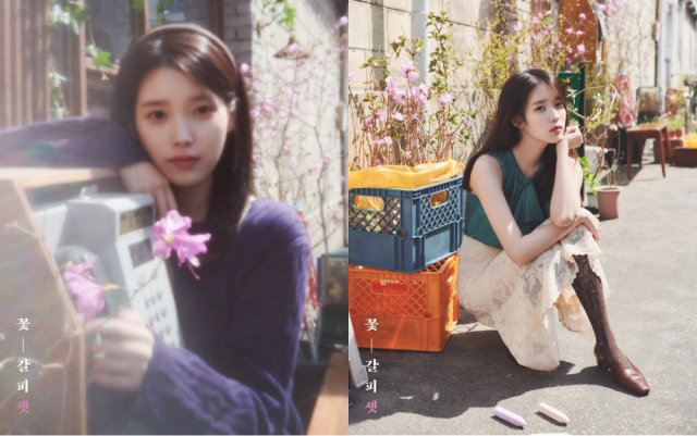 가수 아이유 