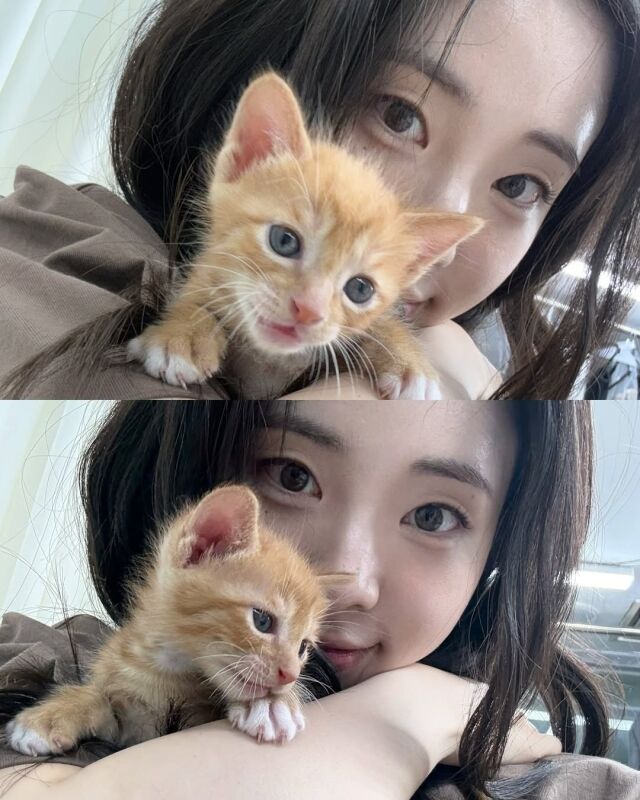 배우 신시아가 우연히 만난 고양이와 함께 찍은 사진을 공개했다. / 신시아 인스타그램 캡처