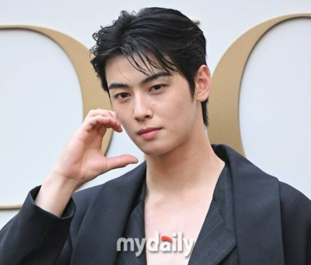 차은우 / 마이데일리