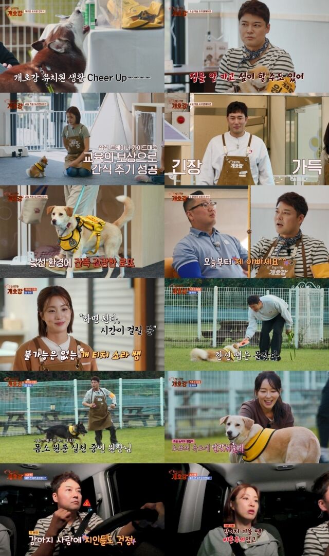 JTBC 