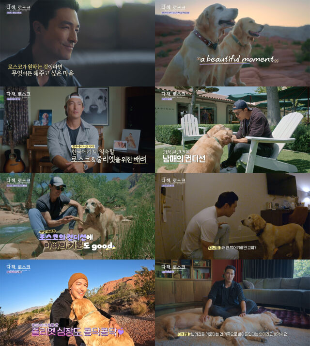 / JTBC4 ‘하고 싶은 거 다 해, 로스코’ 방송 캡처
