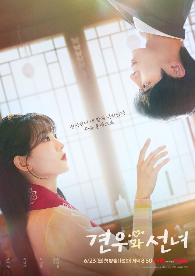 tvN 월화드라마 