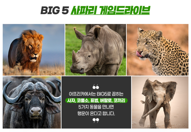 /롯데관광