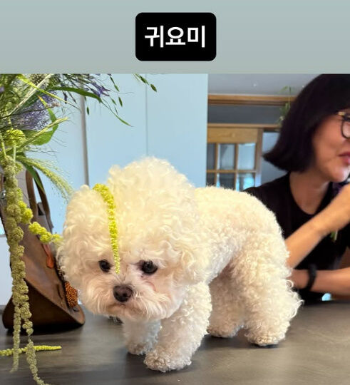 한혜연./소셜미디어
