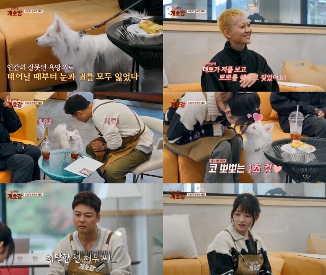 / JTBC ‘집 나가면 개호강’